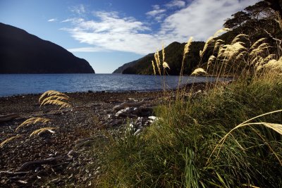 Fiordland