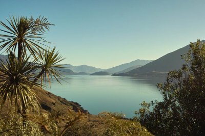 Lake Wanaka