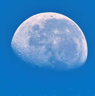 Blue Moon