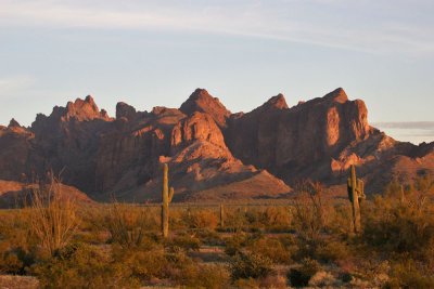 Beautiful Kofa