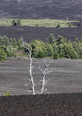 Craters of the Moon, Idaho, 2009