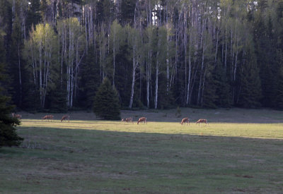 g1/64/297864/3/125741534.L101Wy8Z.jpg