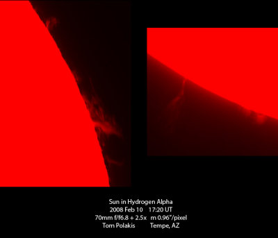 Solar Prominences: 2/10/08