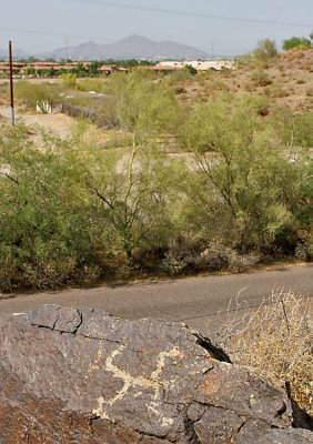 Petroglyphs at South Mountain -- May 11, 2008