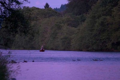 Fishing the evening hatch on the McKenzie River, OR