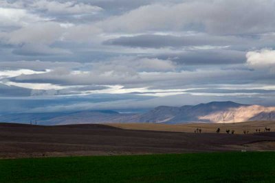 Oregon sky (over Spanish Hollow canyon)