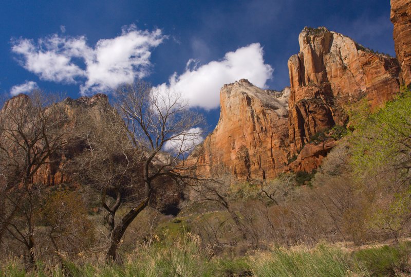Spring in Zion Canyon