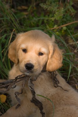 First Day Home