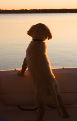 Sunset/First Boat Ride