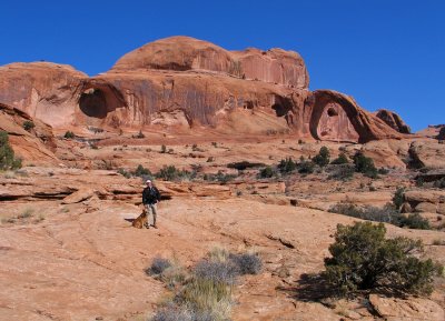 Sandy Goes Hiking