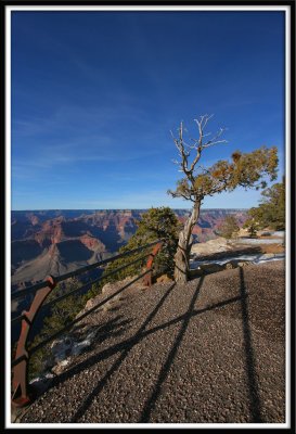 Viewpoint at Grand Canyon
