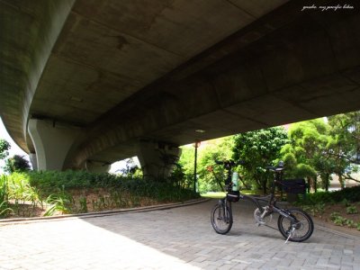P9120351.jpg