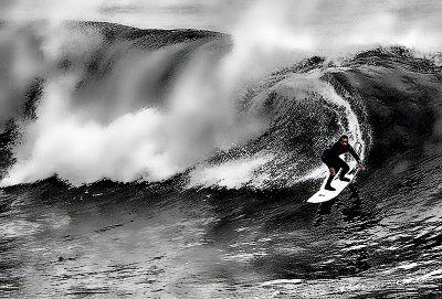 Surf's UP Santa Cruz, Ca