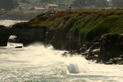 Santa Cruz shoreline
