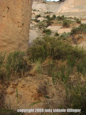 tent rocks 3