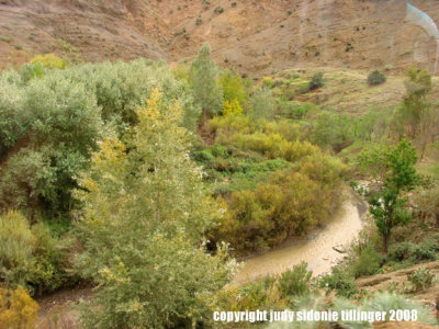 on the road to skoura