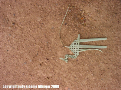 discarded camel
