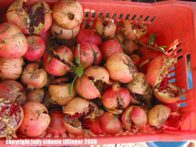 pomegranates at the souk