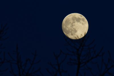 moon7.jpg