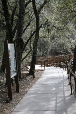 Madera Canyon March 2009