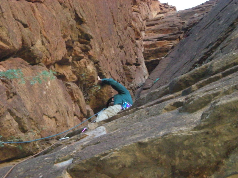 DSCN0518.jpg