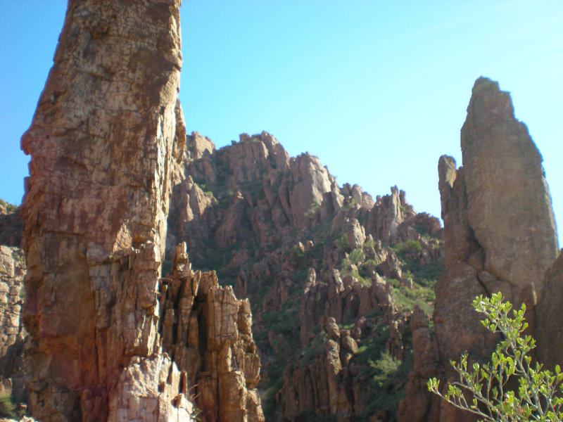 DSCN0550.jpg