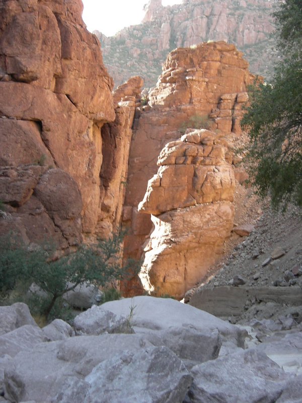 DSCN1044.jpg