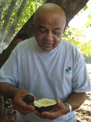 Hughes stuffing the breadfruit