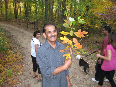 Uncle Carl admiring a branch
