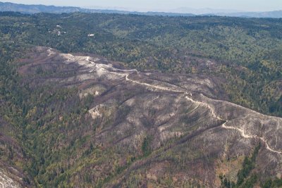 c1325 Recent fires near Bonny Doon