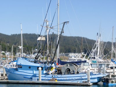 P0430 Marina