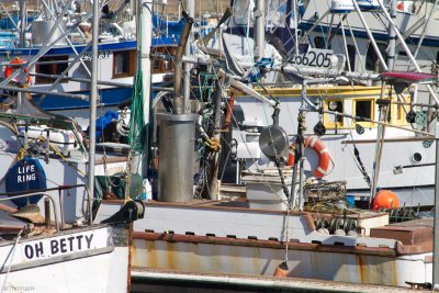 c4941 Marina