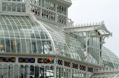 01-29-Conservatory of Flowers