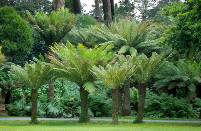 01-33-Botanic Garden