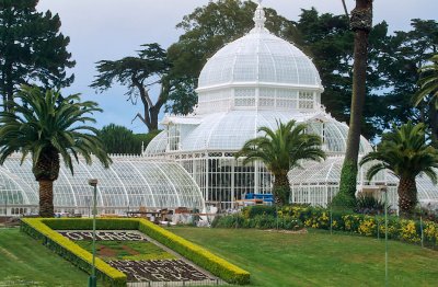 01-34-Conservatory of Flowers