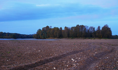 La Loire un matin d'automne