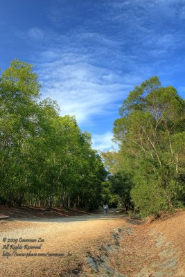 A green path