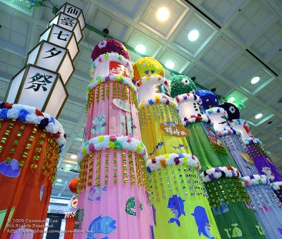 The Sendai Tanabata Festival  PxCi