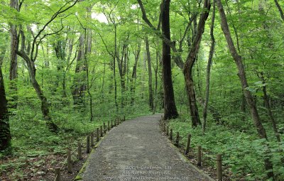 Path to green