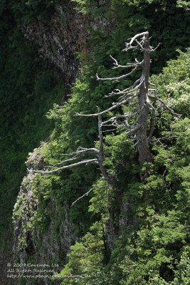 By the cliff