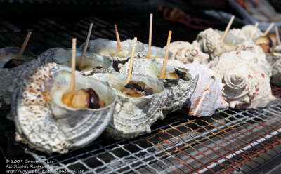Grilled Shells