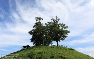 On the hill
