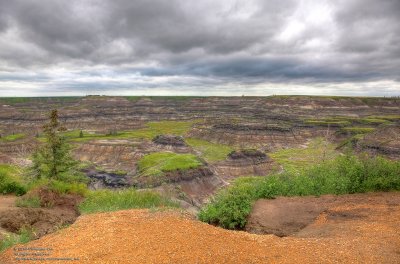 Horseshoe Canyon