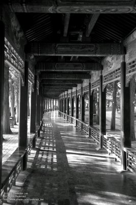 The Corridor