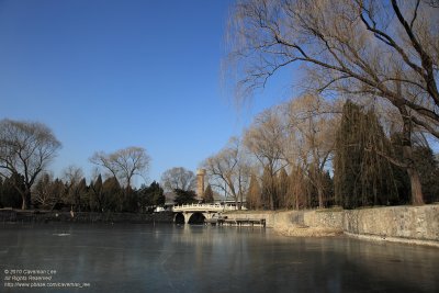 The frozen lake