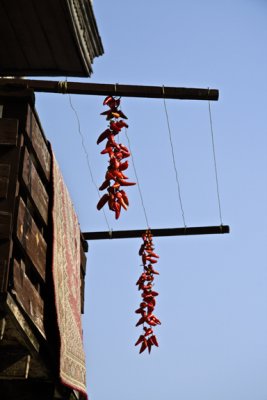 Drying Peppers, Balat #1169