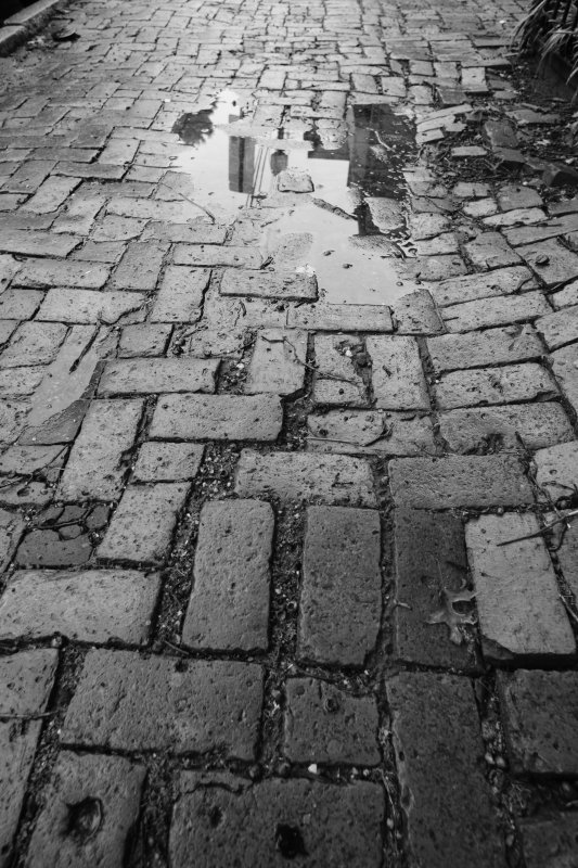 Walkway.jpg