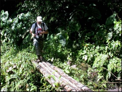 DSCN2714 Kevin crossing the log bridge