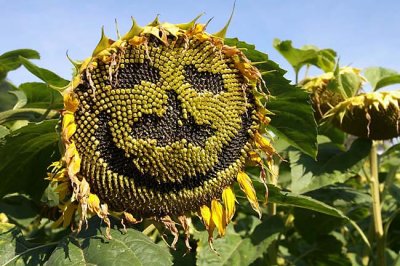 bad hair day... just keep smiling!