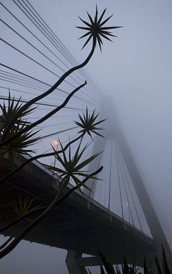 ANZAC Bridge Fog 7